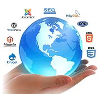 Why Outsource to Professional Ecommerce Web Developers